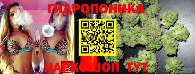 гашик Абинск