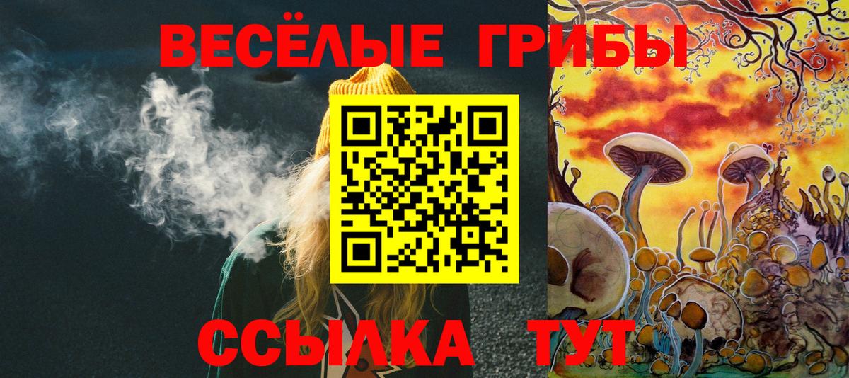 Галлюциногенные грибы Magic Shrooms Абакан