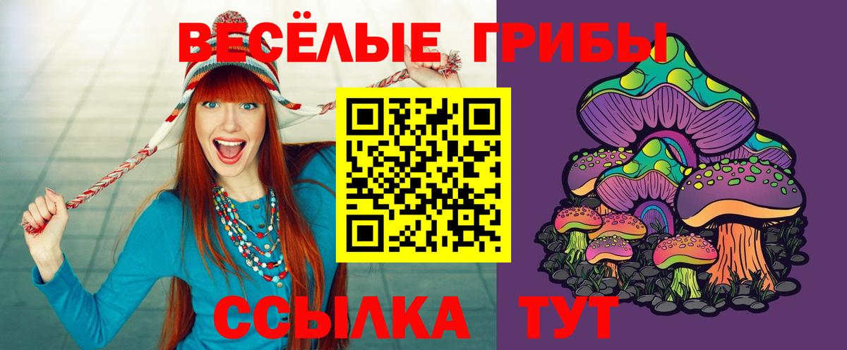 Псилоцибиновые грибы Magic Shrooms  дарнет шоп  Абакан  Вход с VPN 